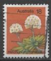 AUSTRALIE N 576 o Y&T 1975 Fleurs (Helichrysum thomsonii)