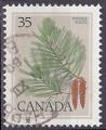 Timbre oblitr n 698(Yvert) Canada 1979 - Arbre, pinus strobus