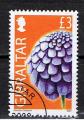 Gibraltar / 2004 / Fleurs / YT n° 1105, oblitéré