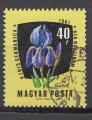 EUHU - 1961 - Yvert n 1471 - Iris allemand (Iris germanica)