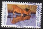 1817 - Srie animaux du monde: lions - oblitr(cachet rond) - anne 2020