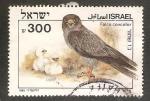 Israel - Scott 898  bird / oiseau