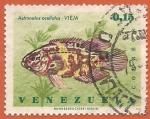 Venezuela 1966.- Peces. Y&T 750. Scott 908. Michel 1676.