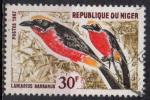 NIGER N 192 Y&T 1967 Oiseaux (Lahiarius barbarus)