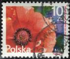 Pologne 2016 Oblitr Used Fleur Coquelicot Papaver rhoeas SU