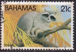 bahamas - n 516  obliter - 1982