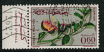 Maroc 1965 - Y&T 482 - oblitr - fleur caparis pineuse