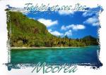 Tahiti et ses les : Moorea, plage de sable blanc de Pihaena