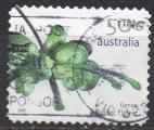AUSTRALIE N 2661 o Y&T 2007 Fleurs (fleur araigne verte)