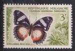 MADAGASCAR N 345 *(nsg)  Y&T 1960 Papillons (Hypolimnas dexithea)