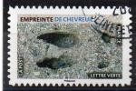 Adh N 1966 - Empreintes de Chevreuil - Cachet rond