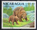 NICARAGUA N 1504 o Y&T 1988 Les animaux et leurs petits (Ursus actos)