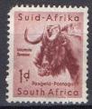 Afrique du sud : Y.T. 236 - Gnou - oblitr - anne 1961