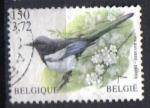 Belgique 2001 - YT 2983 - Oiseaux - Pie Bavarde