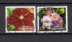 GUERNSEY  2004 N 1000 1004 TIMBRES OBLITRS LOT 04 04 7 LE SCAN 