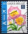 BELGIQUE N 3853 o Y&T 2009 Fleurs (Tulipa bakeri)
