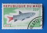 Mali 1976 - Nr 262 - Poisson Kolo Alestes  (Obl)