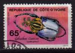 COTE D'IVOIRE N466 o Y&T 1978 Insecte (Goliathus cassicus)