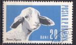 ROUMANIE - 1962 - Mouton -  Yvert 1889 Oblitr 