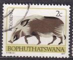 BOPHUTHATSWANA - 1979 - Potamochre- Yvert 2 Oblitr