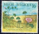Belgique 1994 Oblitr Flowers Fleurs calystegia soldanella Liseron des dunes