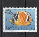 Timbre Pologne Oblitr / 1967 / Y&T N1600.
