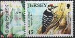 Jersey 2012 - Oiseau menac : pic peichette - YT 1748/SG 1681 **