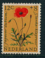 Pays-Bas 1960 - YT 722 - oblitr - coquelicot  tte longue