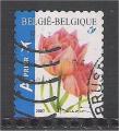 Belgium - SG 4137  tulip / tulipe