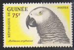 Guine 1962; Y&T n 133 **; 75F, oiseau, Perroquet jacot
