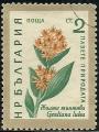 Bulgaria 1960.- Flores. Y&T 1018. Scott 1107.