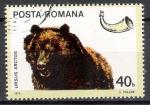 Roumanie 1976; Y&T 2979; 40b, faune, ours brun