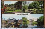 CP UK - Sunderland Rose Gardens Thompson Park Barnes multivues