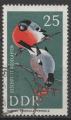 ALLEMAGNE (RDA) N 972 o Y&T 1967 Oiseaux (Bouvreuils)