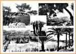 Var ( 83 ) Toulon : Vues diverses - Carte circule 1951 BE