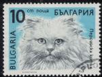 Bulgarie 1989 Oblitr Used Animal Chat Persan Felis silvestris catus SU