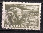 EURO - 1959 - Yvert n 1631 - Mouton domestique (Ovis ammon aries), Ram