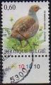 Belgique/Belgium 2005 - Oiseau/Bird : perdrix grise/grey partridge - YT 3365 