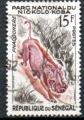 Sngal Yvert N200 Oblitr 1960 Animal Phacochre