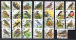 Belgique / Lot de 38 timbres oblitrs diffrents / " Les oiseaux de Buzin "