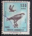 TURQUIE N° PA 49 o Y&T 1959 Oiseaux de proie (Faucon) 