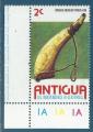 Antigua N°417 Corne à poudre neuf**