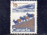 Canada oblitr n 472 Mouton de rgion montagneuse CA10116