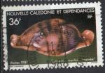 NOUVELLE CALEDONIE N 539 o Y&T 1987 Faune (Cypreaea martini "rostre")