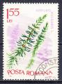 ROUMANIE - 1966 - Plante - Yvert 2236 Oblitr
