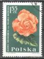 Pologne 1964  Y&T 1402     M 1549     Sc 1287     Gib 1536