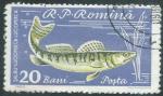 Roumanie - Y&T 1742 (o) - 1960 -