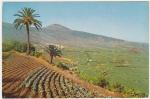 Carte Postale Moderne non crite Espagne - Tenerife, valle de la Orotava