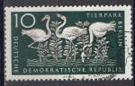 RDA 1956; Y&T 277; 10p; oiseaux, flamants  roses
