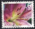 Pologne 2016 Oblitr rond Used Srie Fleurs et Fruits Lilium Lylas SU